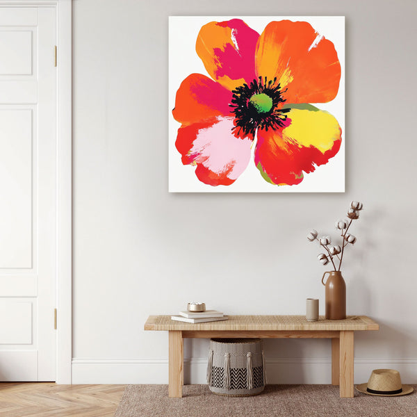 Multicolor Flower Close Up
