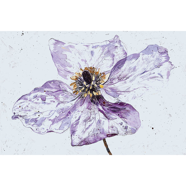 Purple flower with a white background