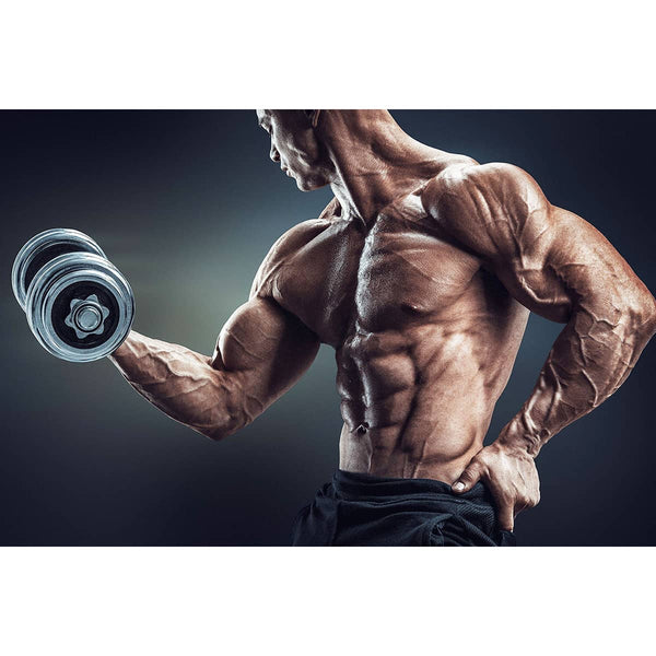 Dumbbell Workout, Sport Photography