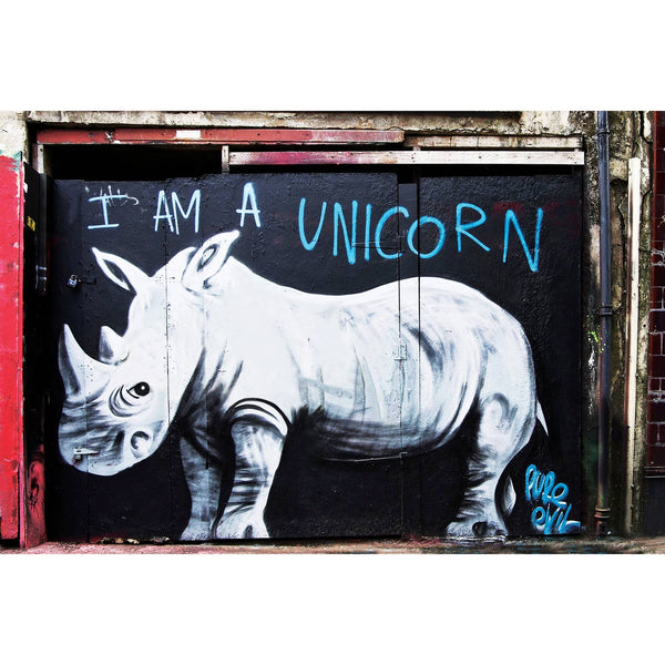 Rhinoceros I am a unicorn, Graffiti