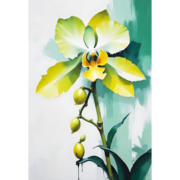 Abstract Orchid (Flower Collection)