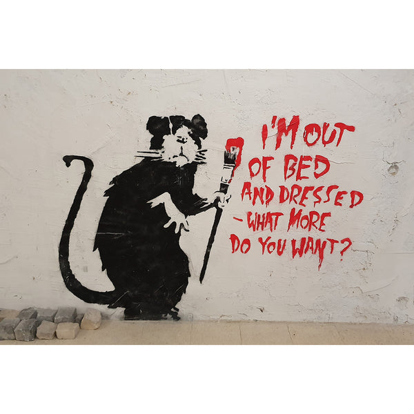 Rat I'm Out Of Bed And Dressed, Street Art