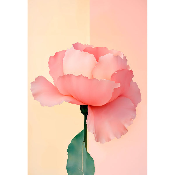 Pink flower with a soft gradient background