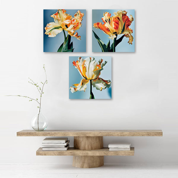 Beautiful Tulips, Photo SET