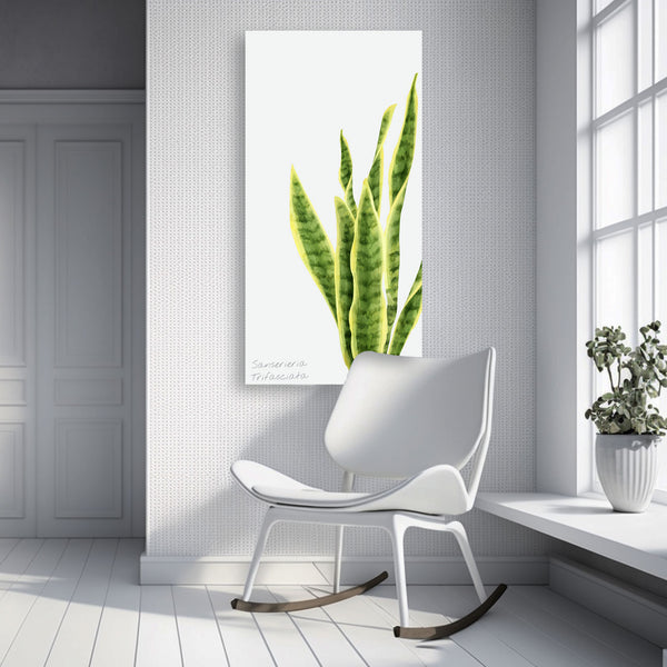 Plants & Leaves, Art Set of 3, Digital Art