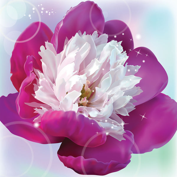 Pink Flower Peony, Digital Art