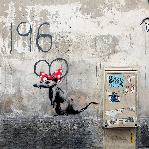 Banksy Rat with bow, Graffiti