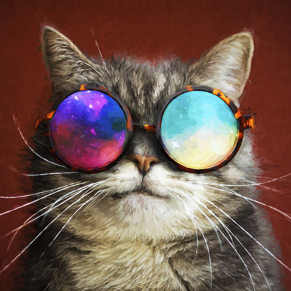 Cat In Glasses, Photography