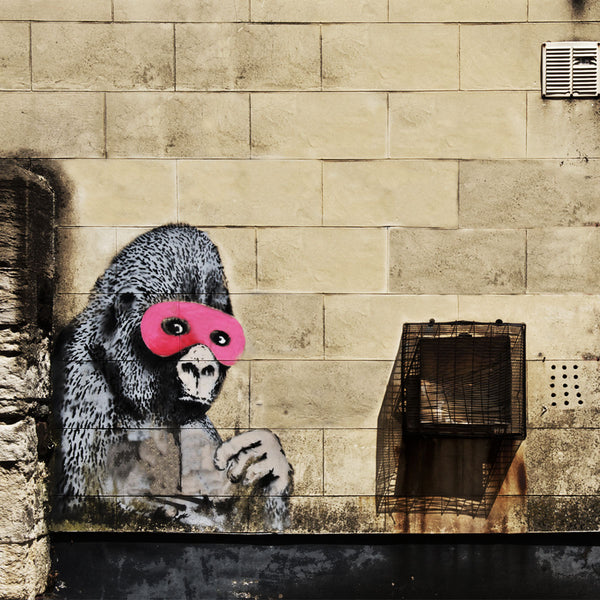 Banksy, Gorilla in a Pink Mask, Street Art