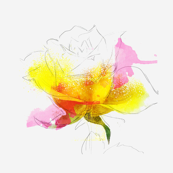 Hand-drawing Rose, Painting