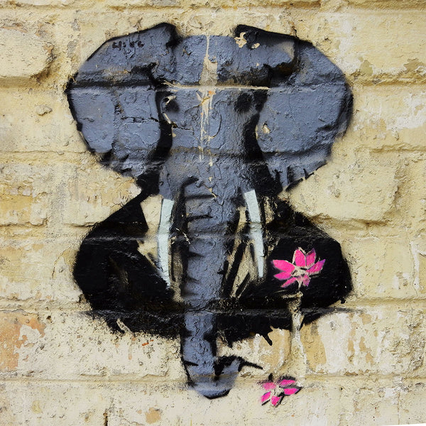 Elephant with flower, Street Art