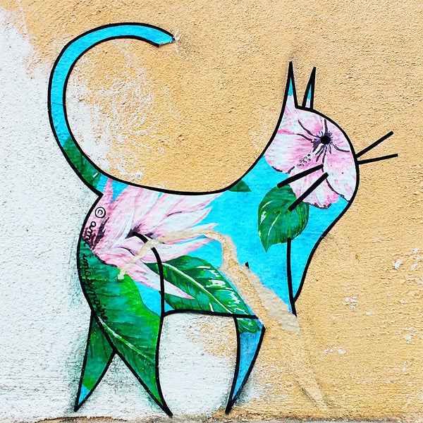 Patterned Cat, Graffiti Street Art