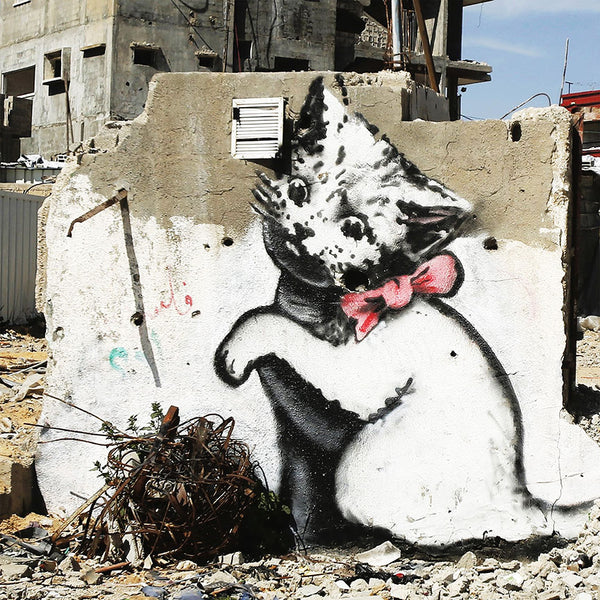 Banksy Palestine Kitten in Gaza, Graffiti