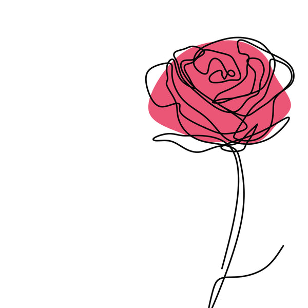 Rose, One Line Drawing