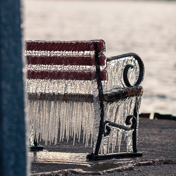 Fantastic Ice Frozen Bench, Photography