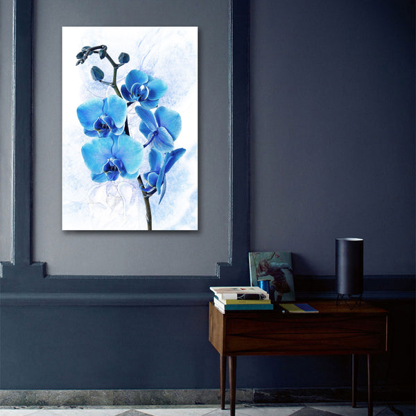 Blue Orchid on White Background