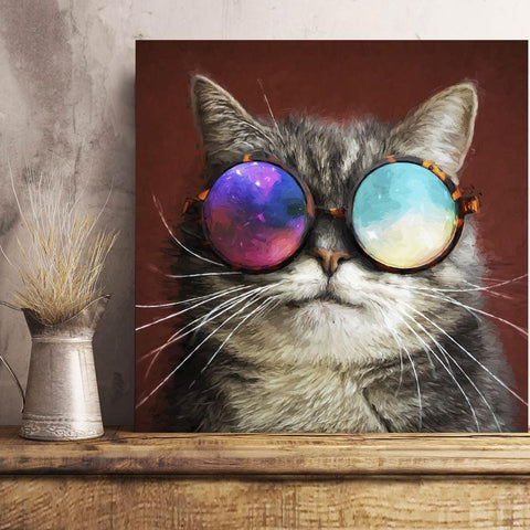 Cat In Glasses, Photography