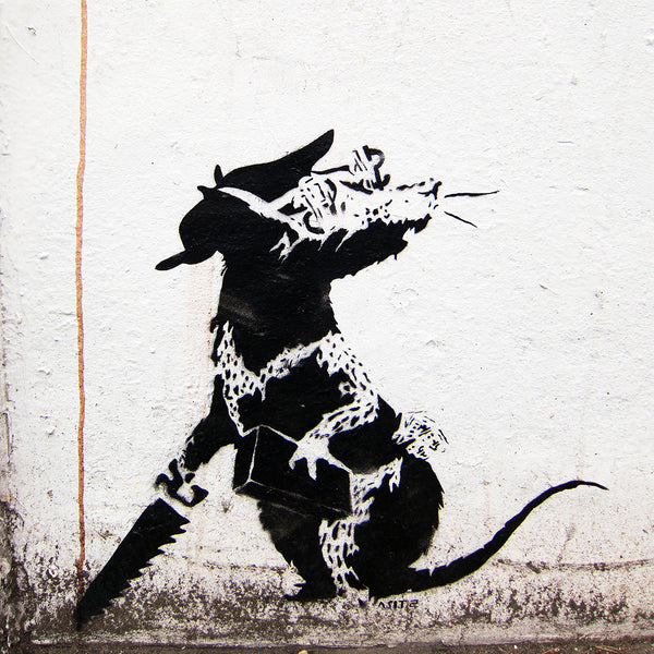 Banksy Rat Closeup With Dollar Eyes, Graffiti