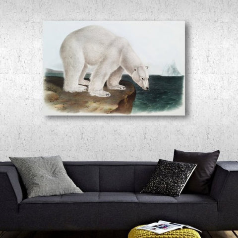 Ursus Maritimus Polar Bear by John J. Audubon