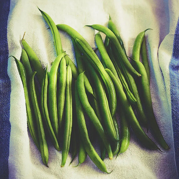 newARTmix Green Beans, Food Photography newARTmix