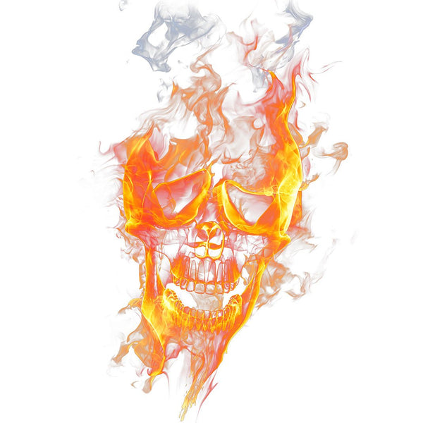 Abstract Fantasy Skull with Fire Effect, Digital Art