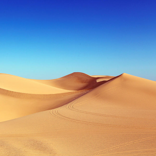 Charm of Desert, Photography