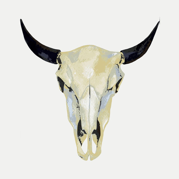Animal Skull, Digital Art