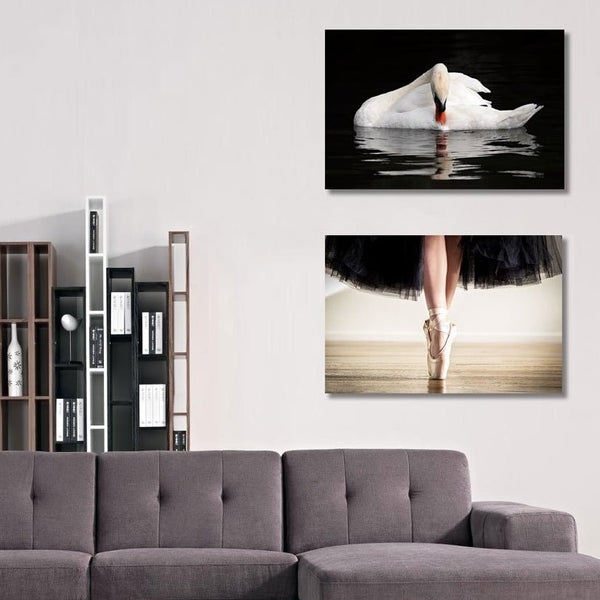 Ballerina Dancer, Retro Style Photography