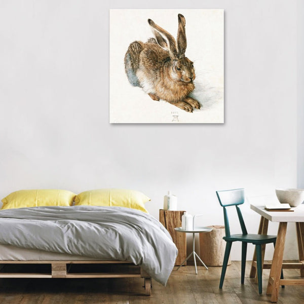 Young Hare Rabbit Animal, Reproduction