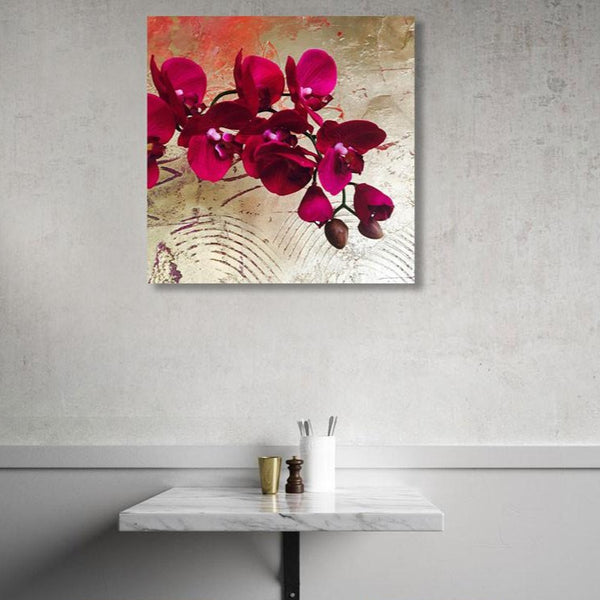 Red Orchid, Photography