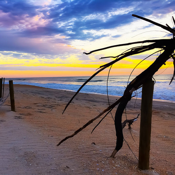 Florida Beach Sunrise, Photography