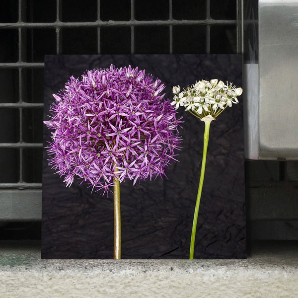 Purple Flowers, Photography