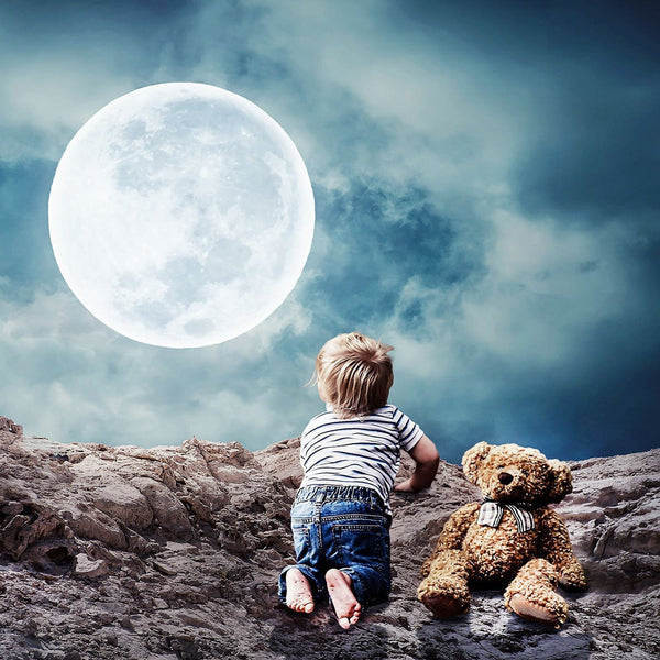 Little Boy with Teddy Bear, Photography