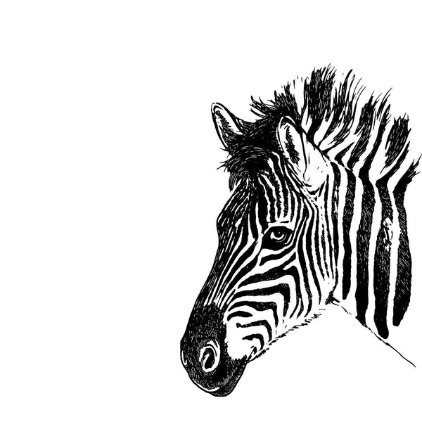 Zebra Head Silhouette, Black/White Digital Art