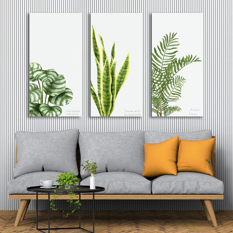 Plants & Leaves, Art Set of 3, Digital Art