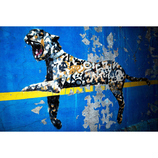 Banksy, Bronx Zoo, Graffiti