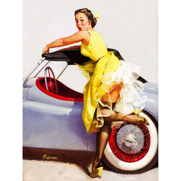 Pin-Up Girl, Car Cover Up