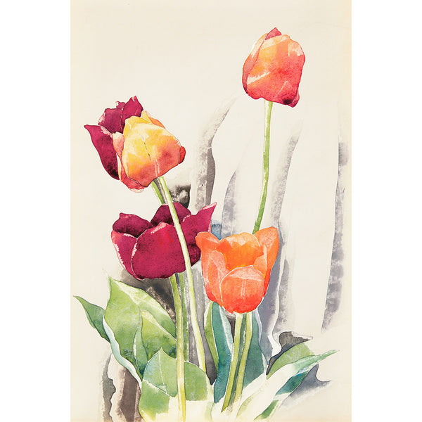 Tulips, Reproduction