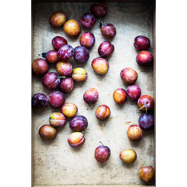 Still Life Plums, Photography