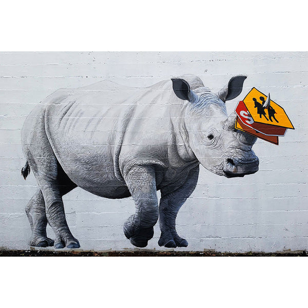 Rhino Traffic, Street Art