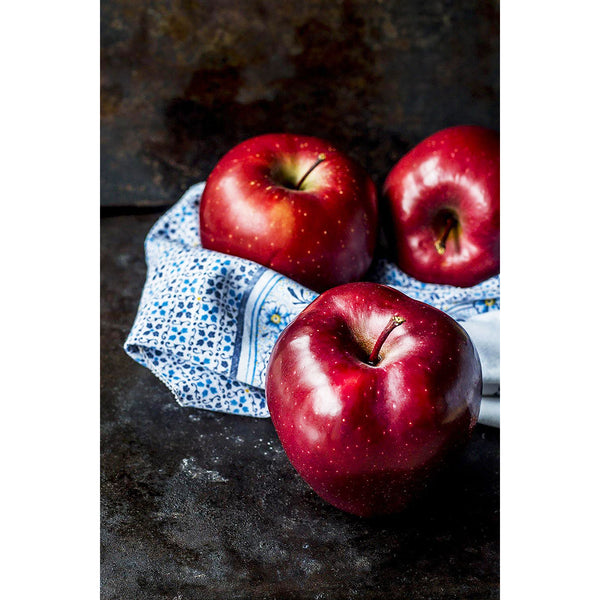Still Life with Apples, Photography