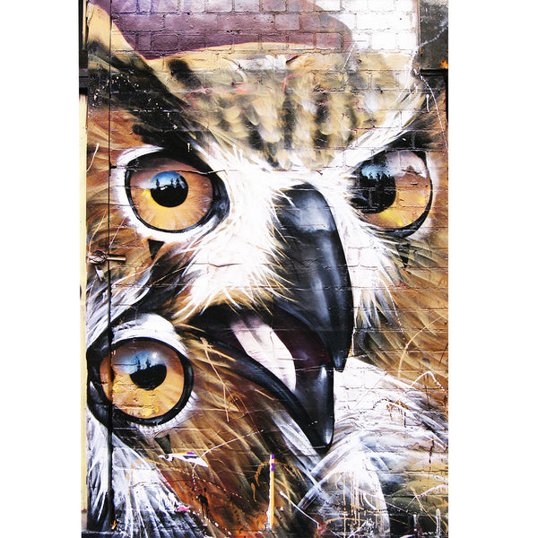 Owl, Graffiti Street Art
