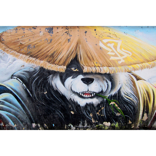Chinise Panda, Street Art