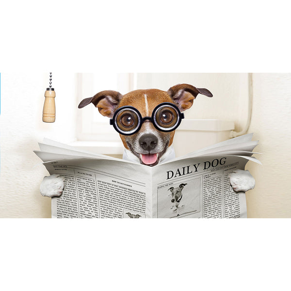 Dog With Newspaper, Photo