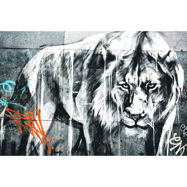 Lion Black/White, Graffiti