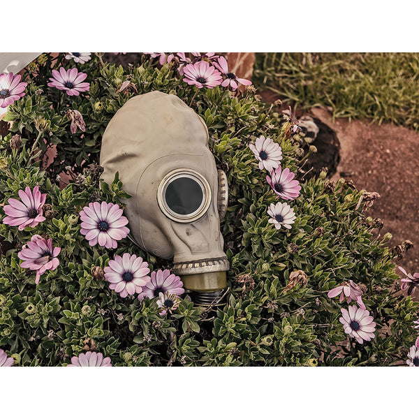 Gas Mask And Flowers, Photography