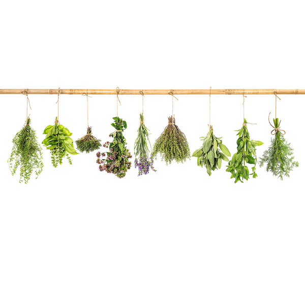 Kitchen Herbs, Photography