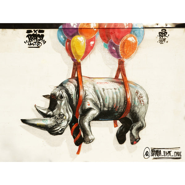 Rhino With Balloon, Street Art