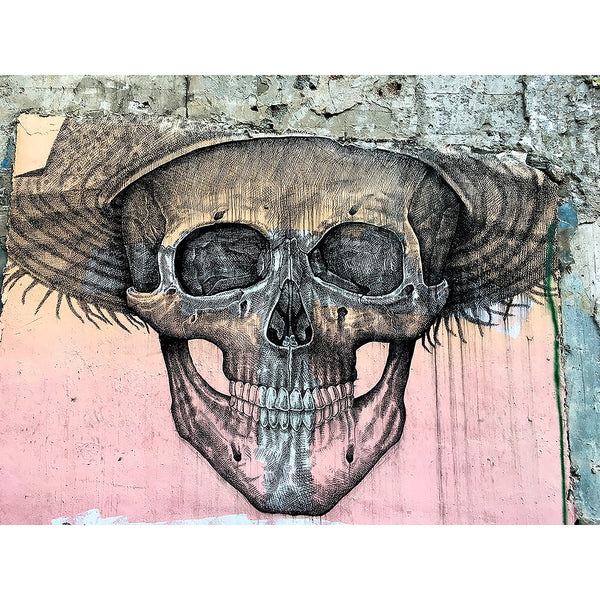 Skull Smile, Street Art