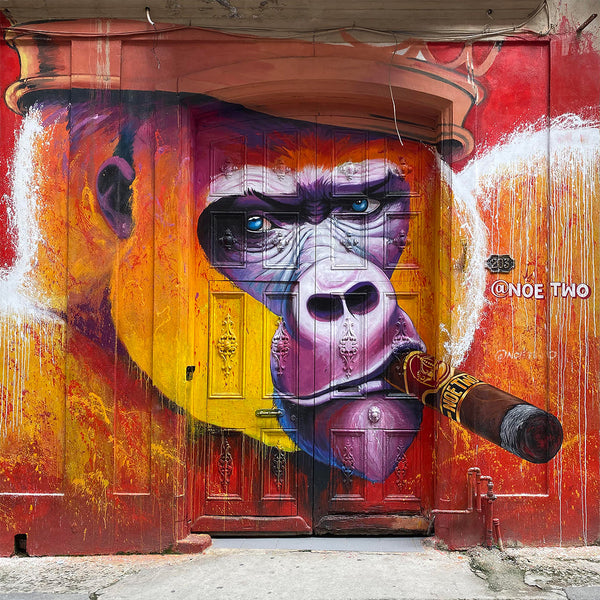 Smoking Monkey, Graffiti (Cuba)